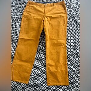 Mustard chino Pants